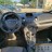 Ford_Fiesta_2016-M207406